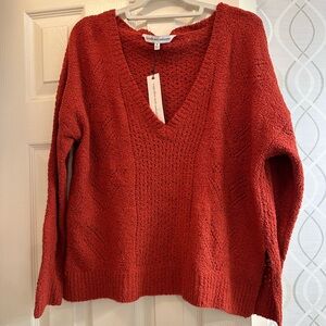 cupcakes & cashmere Deep Rust Colored V-Neck Sweater